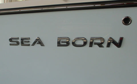 3D Chrome Logo